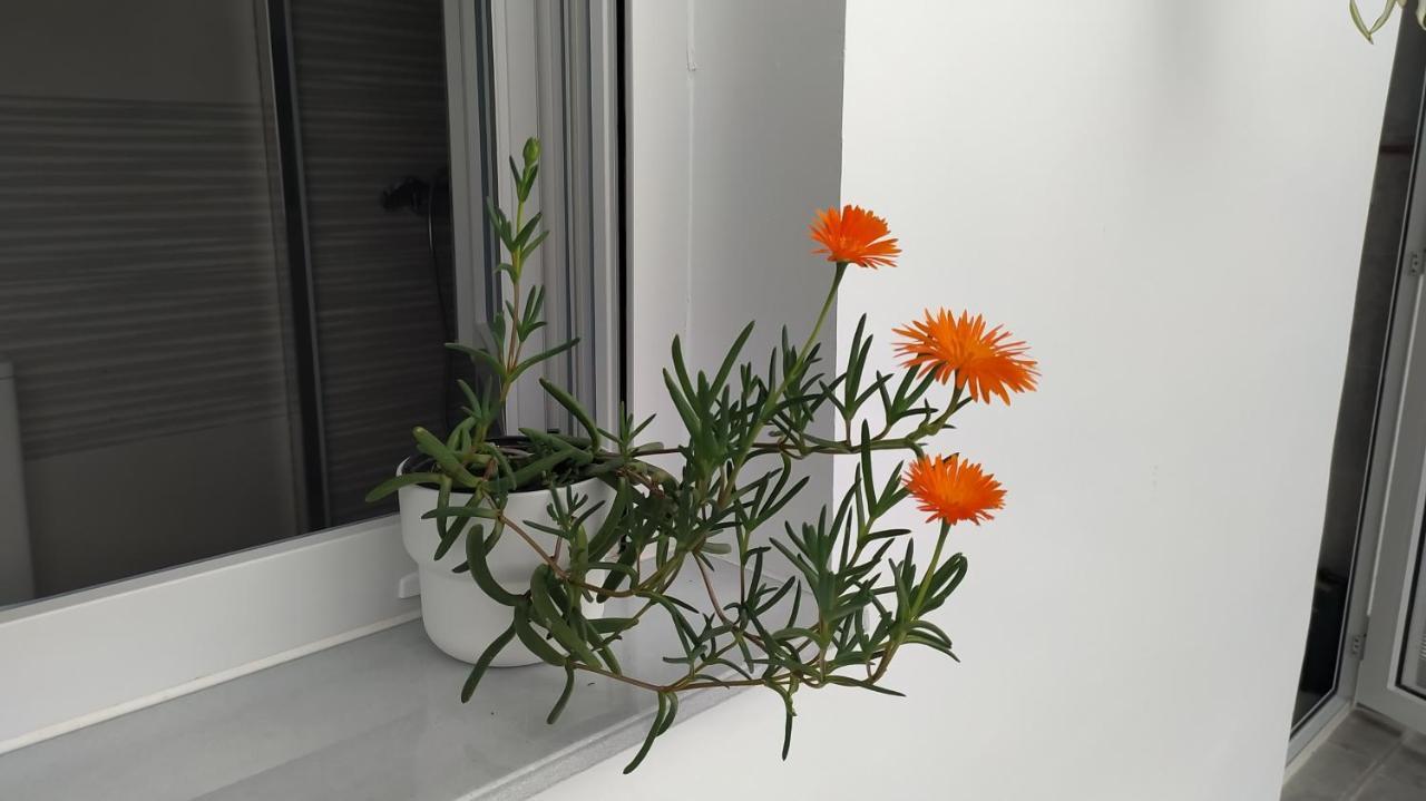 Iulia Emerita Centro Μέριδα Εξωτερικό φωτογραφία